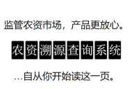 欧洲锦标赛：强强对决成为焦点